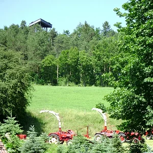 Sommerplausch 2012