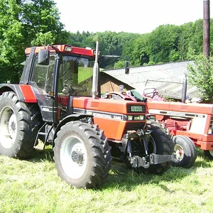 Sommerplausch 2012