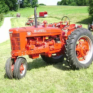 Sommerplausch 2012