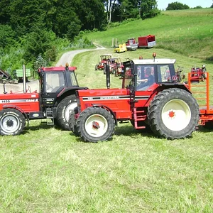 Sommerplausch 2012