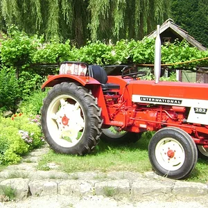 Sommerplausch 2012