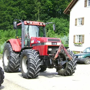 Sommerplausch 2012