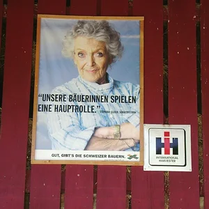 Sommerplausch 2012