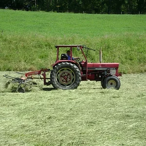 Sommerplausch 2012