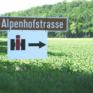 Sommerplausch 2012