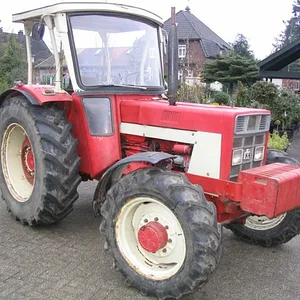 Tim Bollwerk