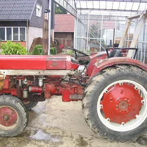 Tim Bollwerk