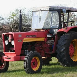 IHC 624