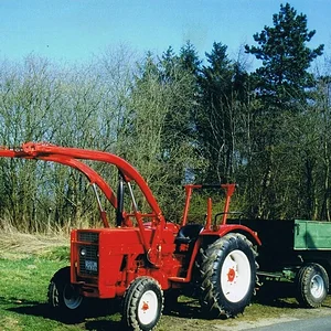 *IHC523*