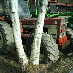 IHC 1046 forst