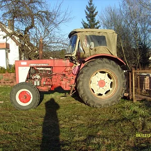 Tauber-624