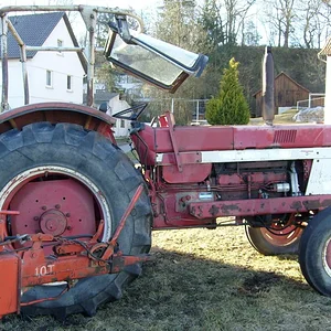 IHC 955