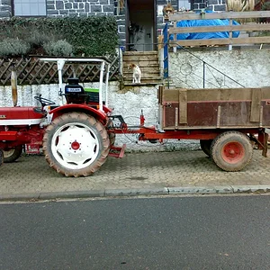 323 Maeddi