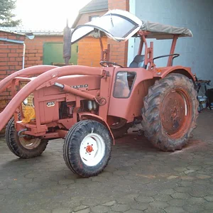 IHC 423