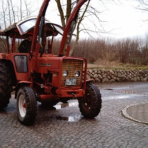 IHC 423