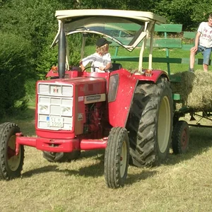 Ihc 654 S
