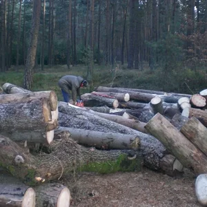 IHC 624 beim Holzspalten