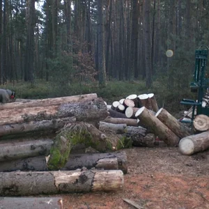 IHC 624 beim Holzspalten