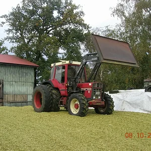 lingi844xl
