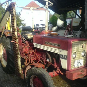 Steff 323