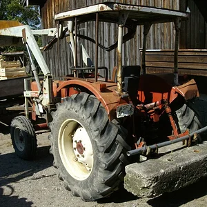 Schorsch
