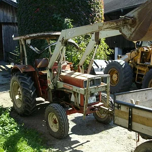 Schorsch