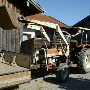 Schorsch