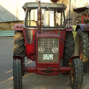 IHC 523