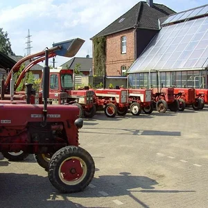 Tim Bollwerk