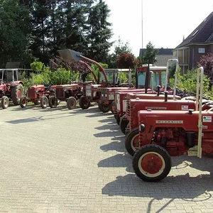 Tim Bollwerk