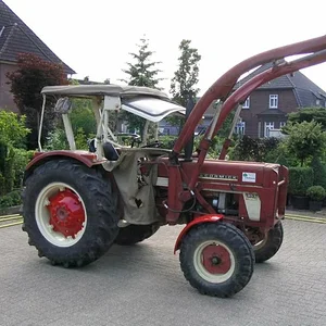 Tim Bollwerk