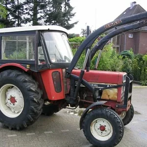 Tim Bollwerk