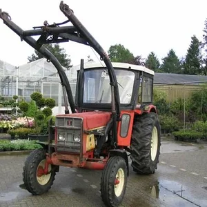 Tim Bollwerk