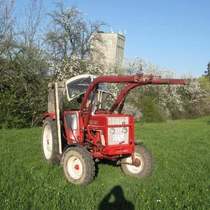 ihc*423