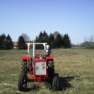 353Holger