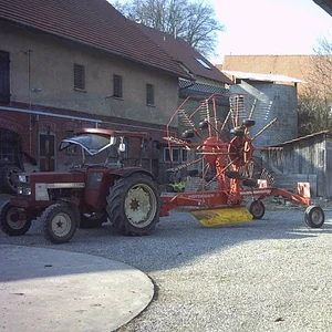 IHC 955