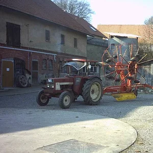 IHC 955