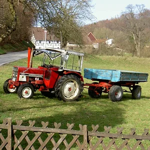 Torsten