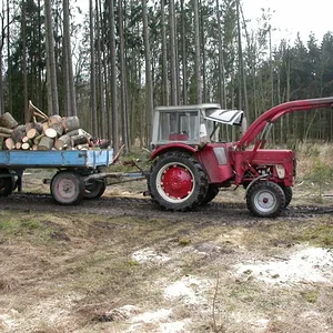 423 im Wald
