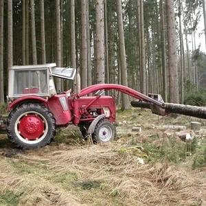 423 im Wald
