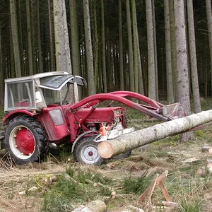 423 im Wald