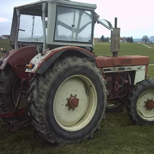 IHC 955