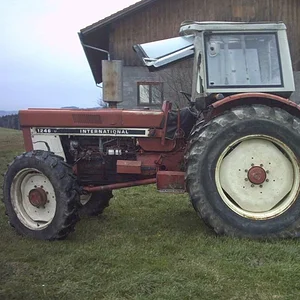 IHC 955