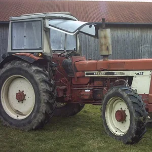 IHC 955
