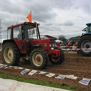 Inglorion439