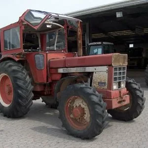 IHC 955