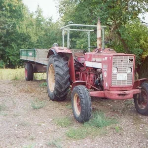 Falko