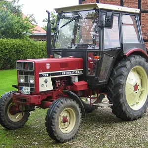 IHC 733
