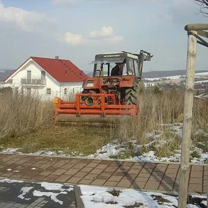 IHC 1246 beim mulchen