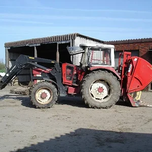 Fotos von deichkönig